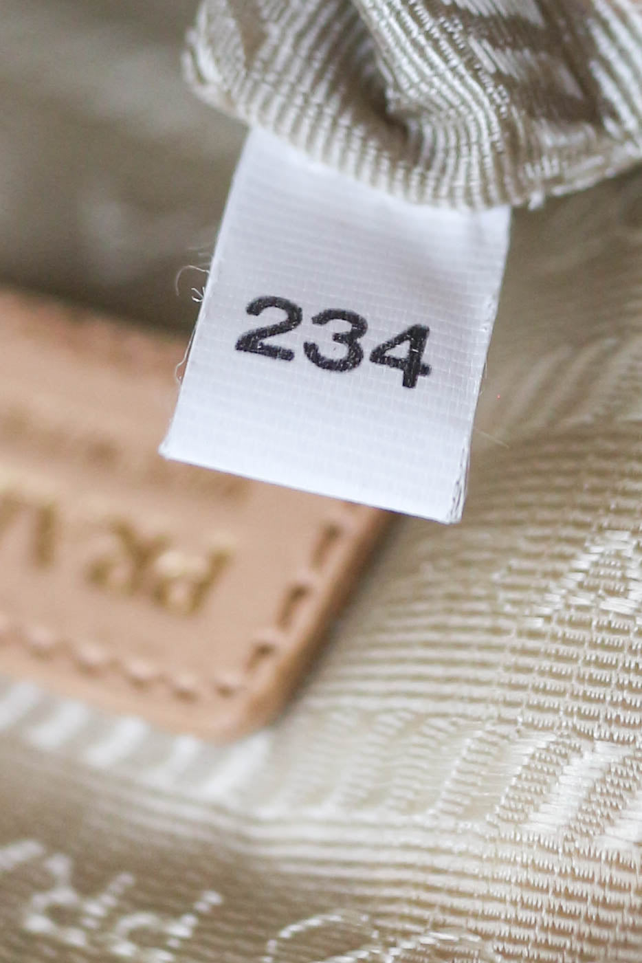 Prada Raffia Phone Pouch Bag