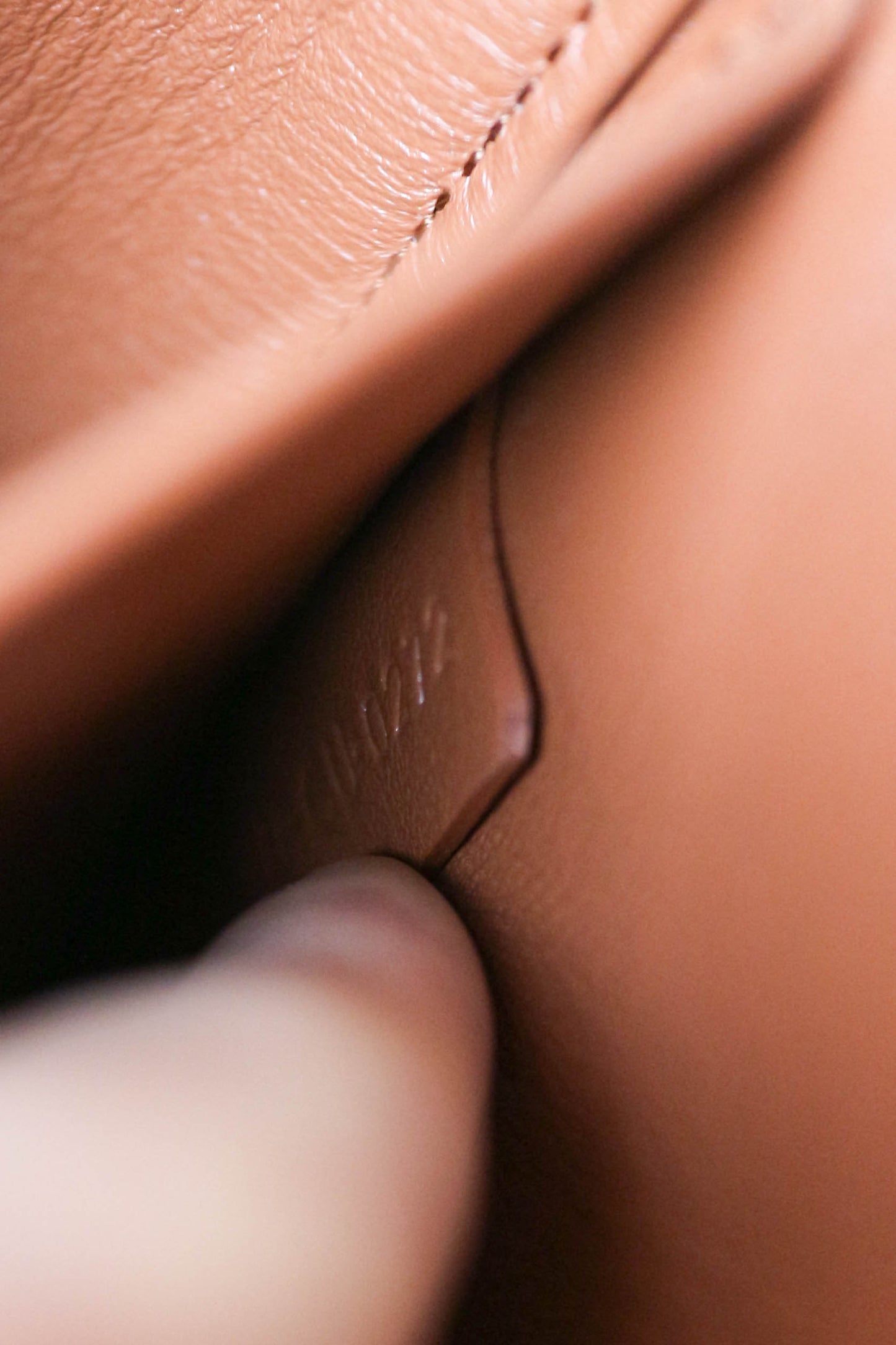 CELINE Triomphe Python Chain Shoulder Bag