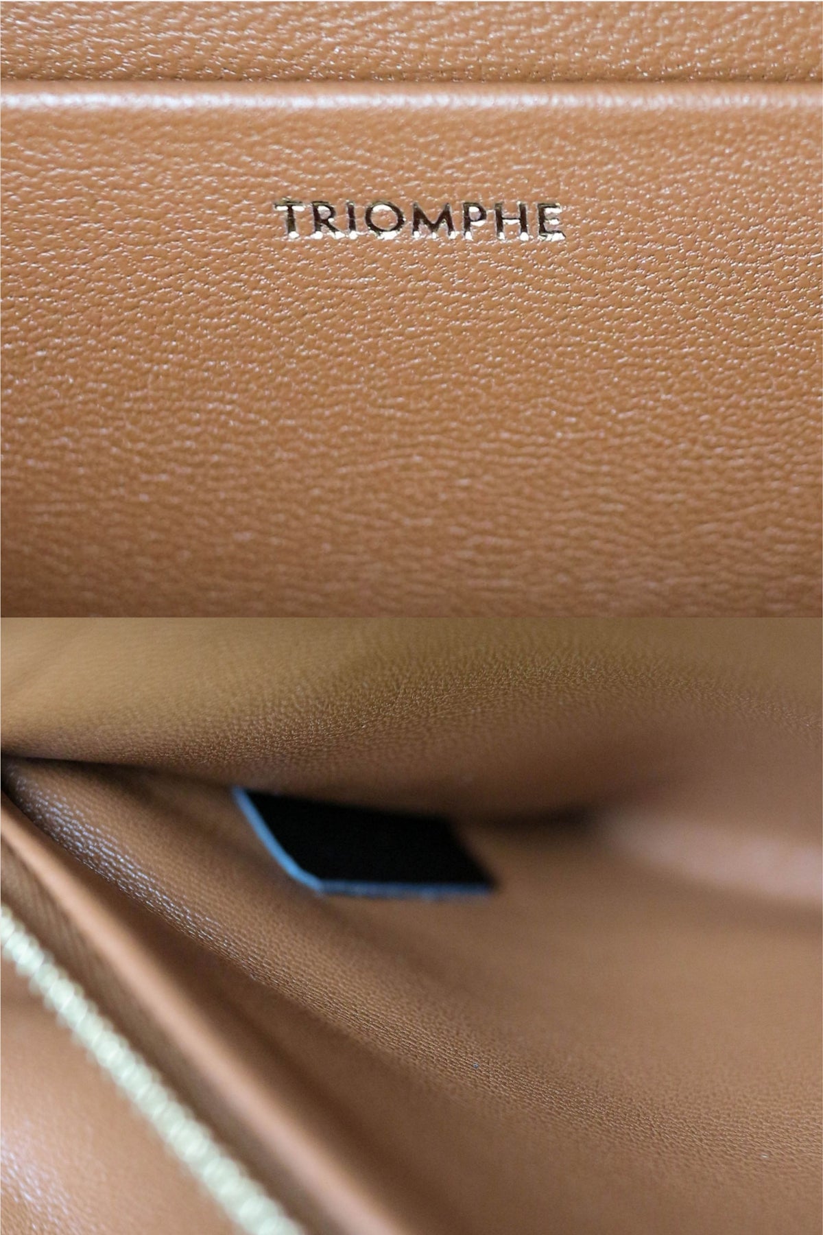 CELINE Triomphe Zebra Crossbody Bag