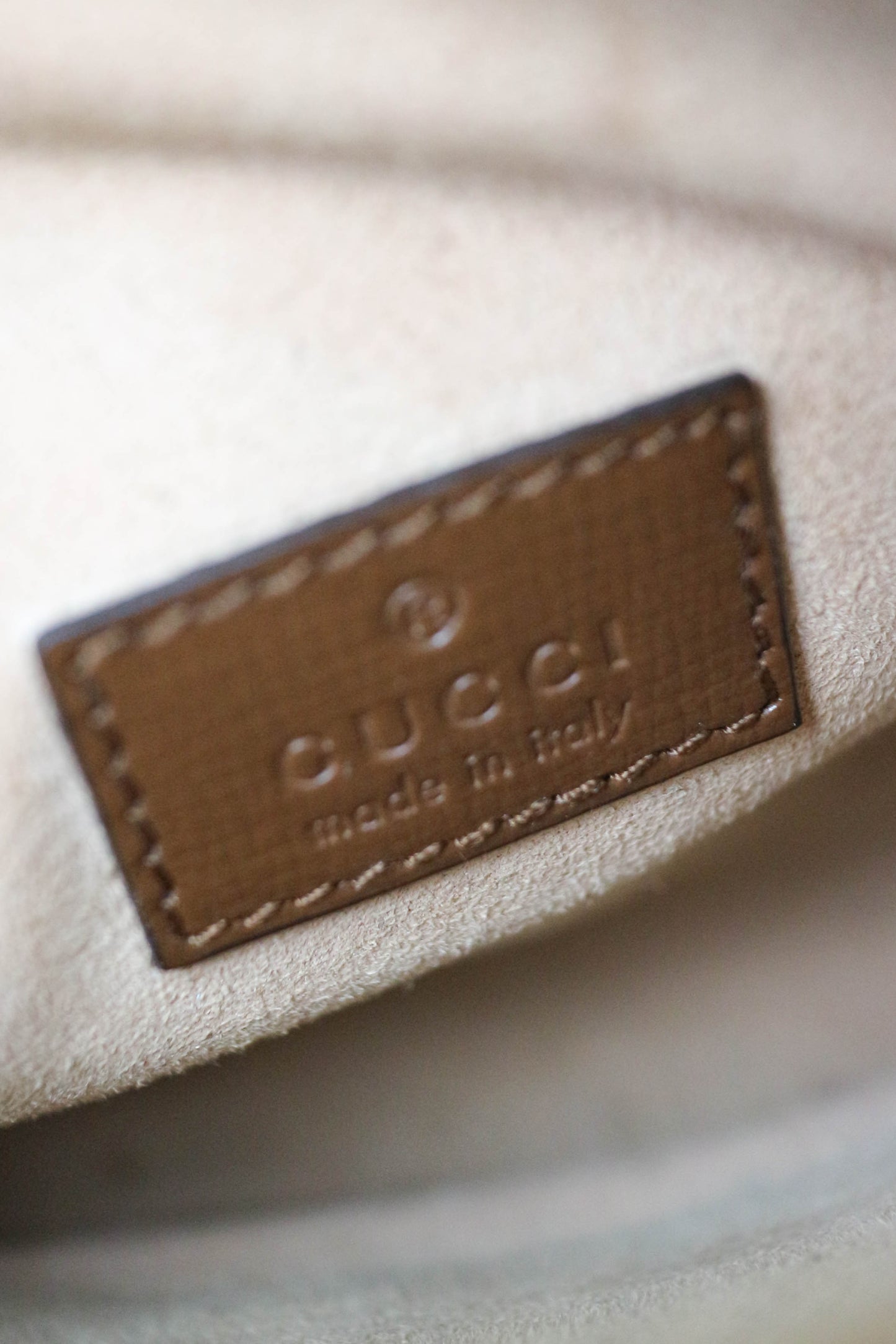 Gucci Camera Monogram Canvas Bag