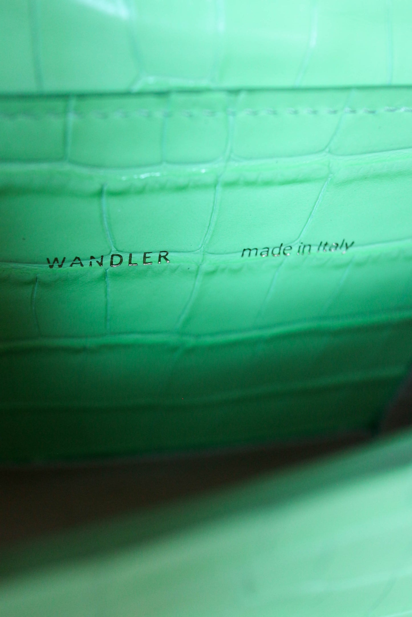 Wandler Luna Croco Bag Green