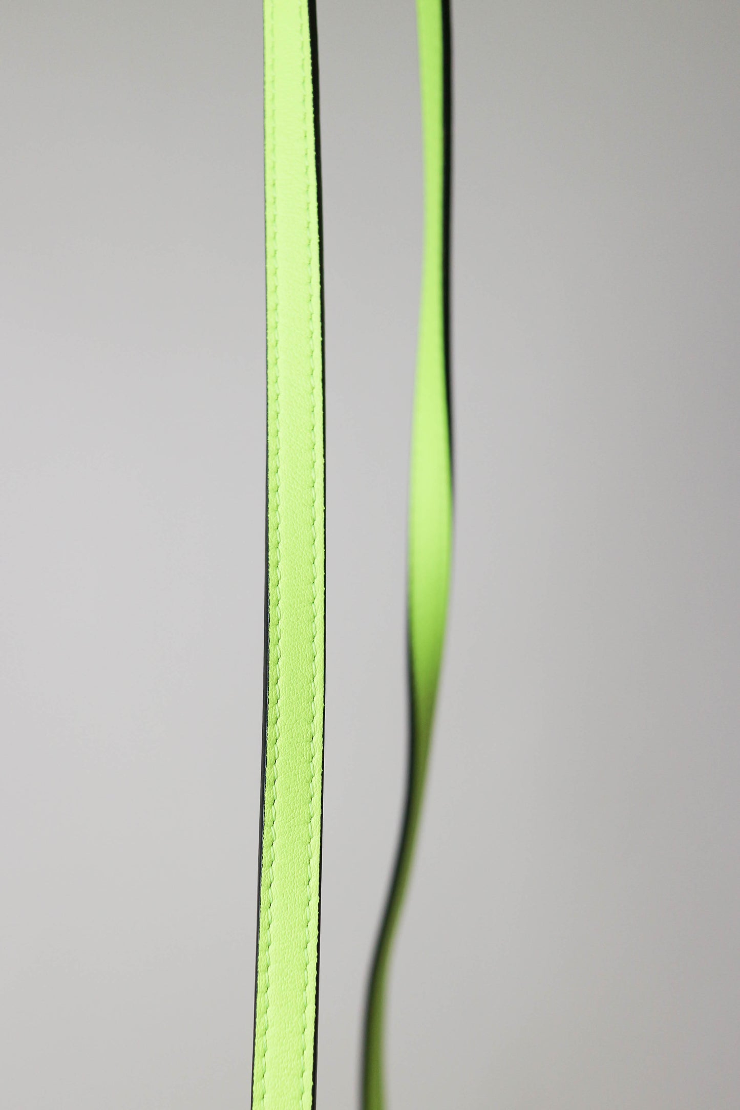 LOEWE x Paula’s Ibiza Raffia Crossbody Bag