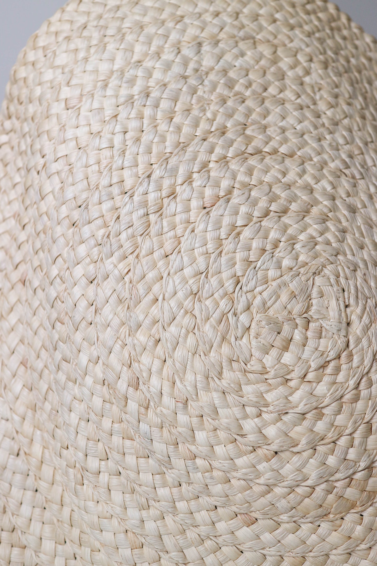 CELINE Triomphe Raffia Round Bag