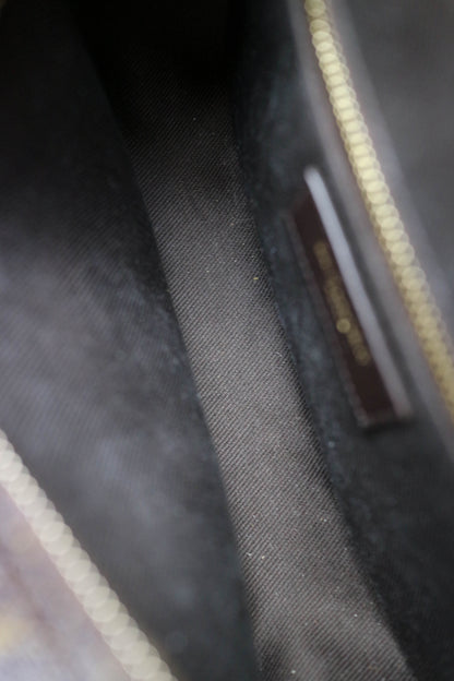 Saint Laurent Monogram Camera Crossbody Bag Brown
