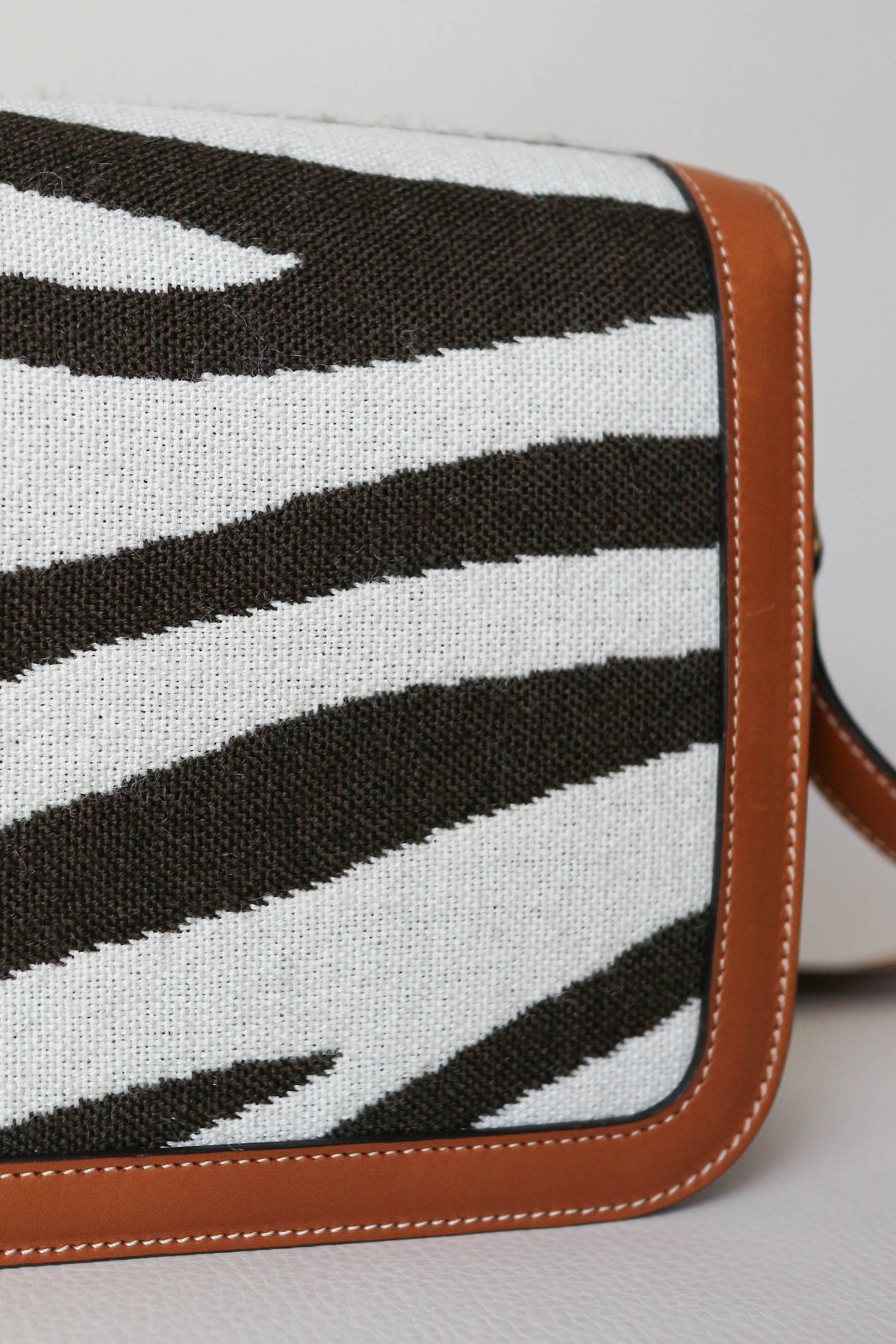 CELINE Triomphe Zebra Crossbody Bag