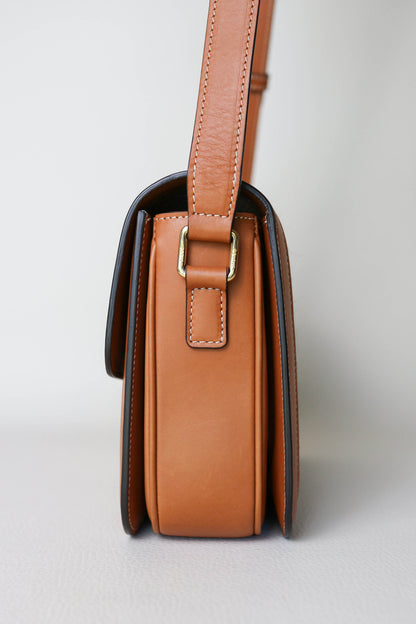 CELINE Triomphe Zebra Crossbody Bag