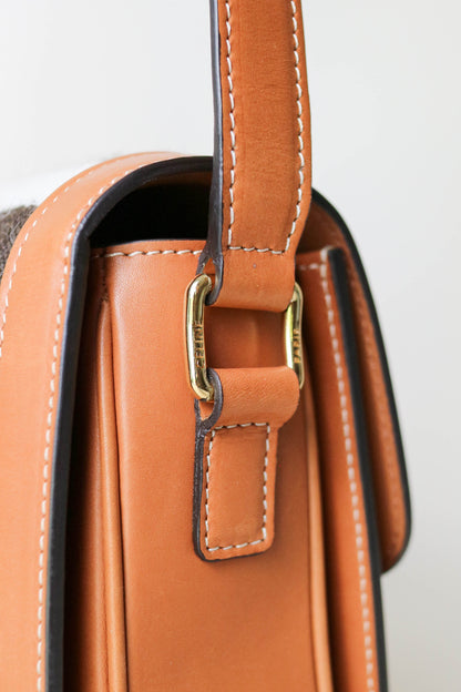 CELINE Triomphe Zebra Crossbody Bag