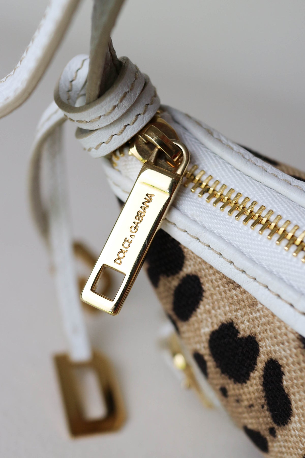 Dolce & Gabbana Vintage Leopard Mini Bag