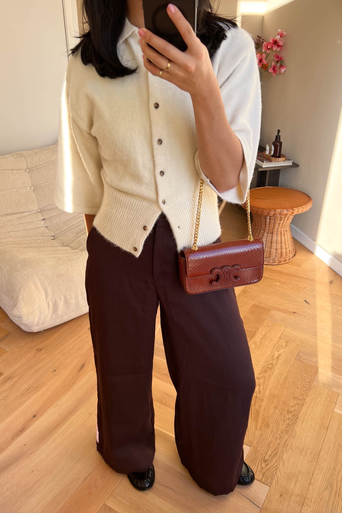 CELINE Triomphe Python Chain Shoulder Bag