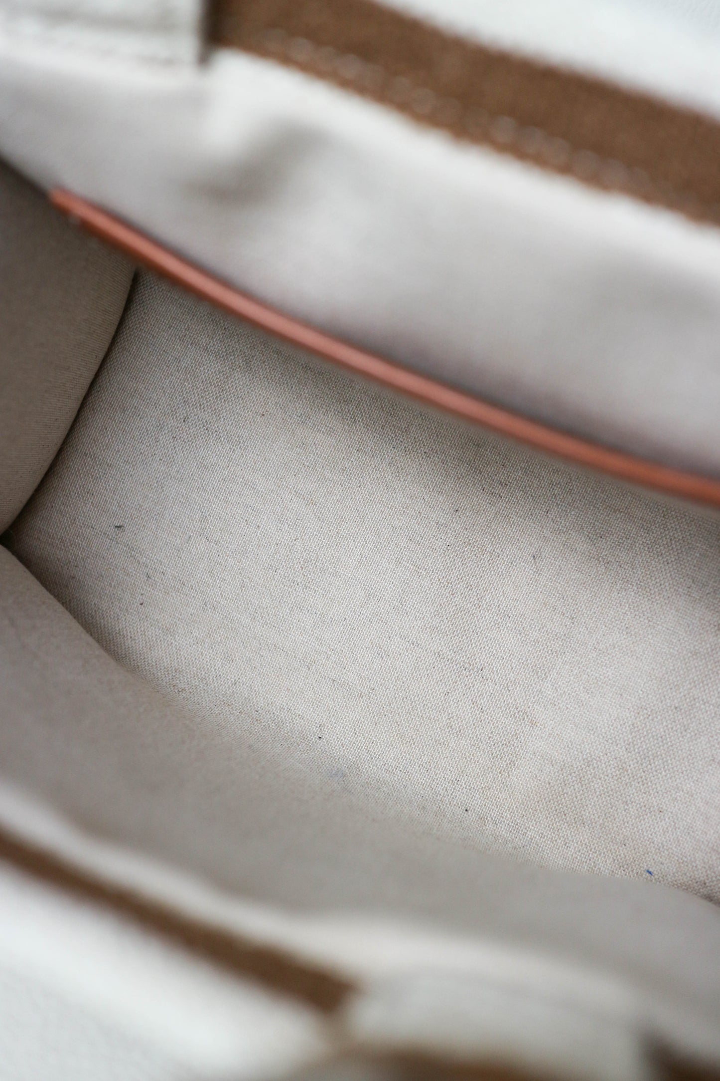 CELINE Mini Canvas Tote Bag Brown