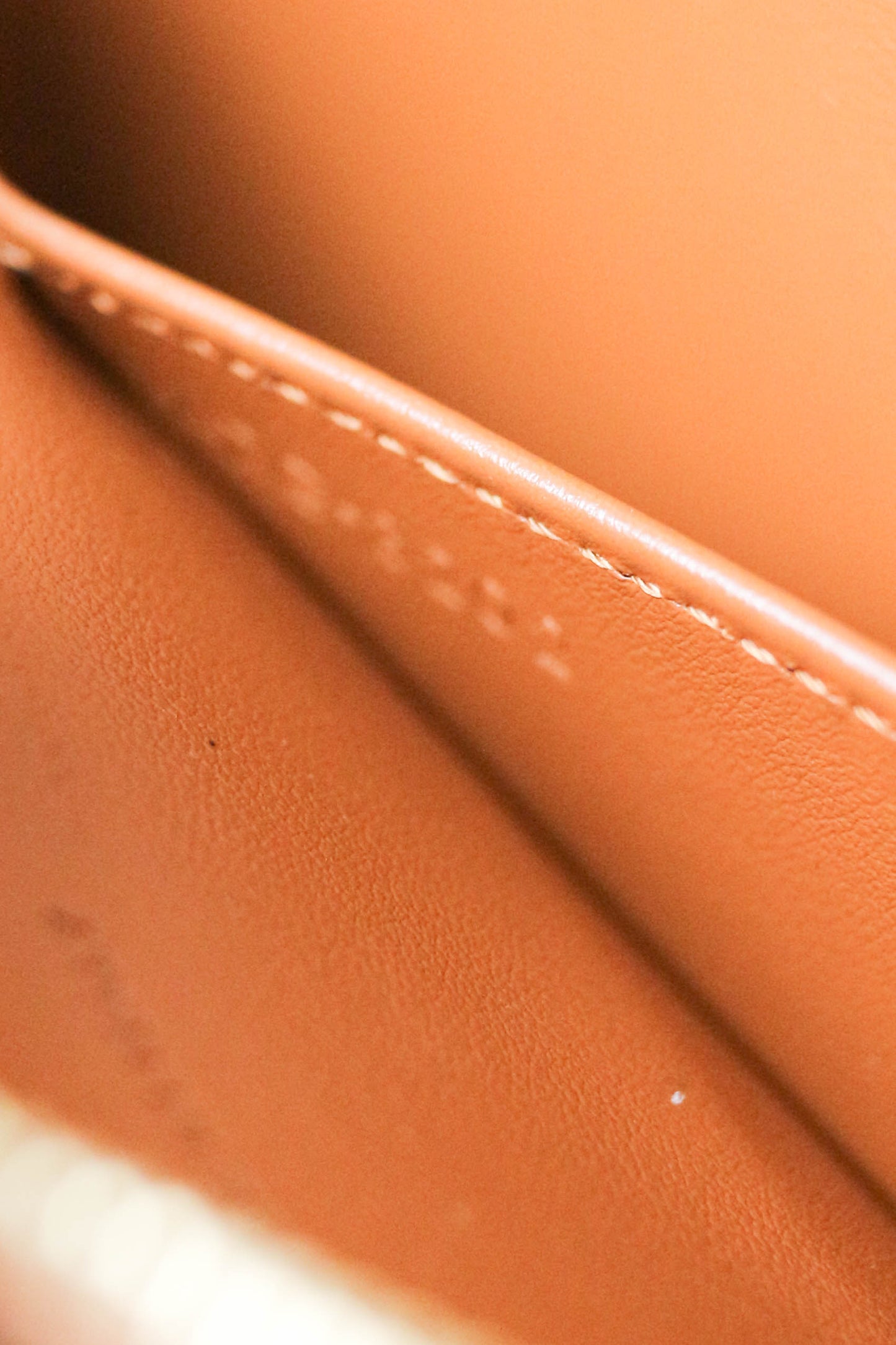 CELINE Triomphe Shoulder Bag Brown