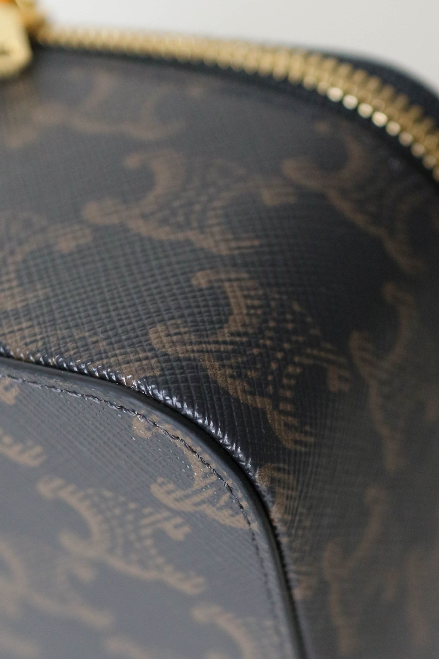 CELINE Triomphe Canvas Toiletry Case