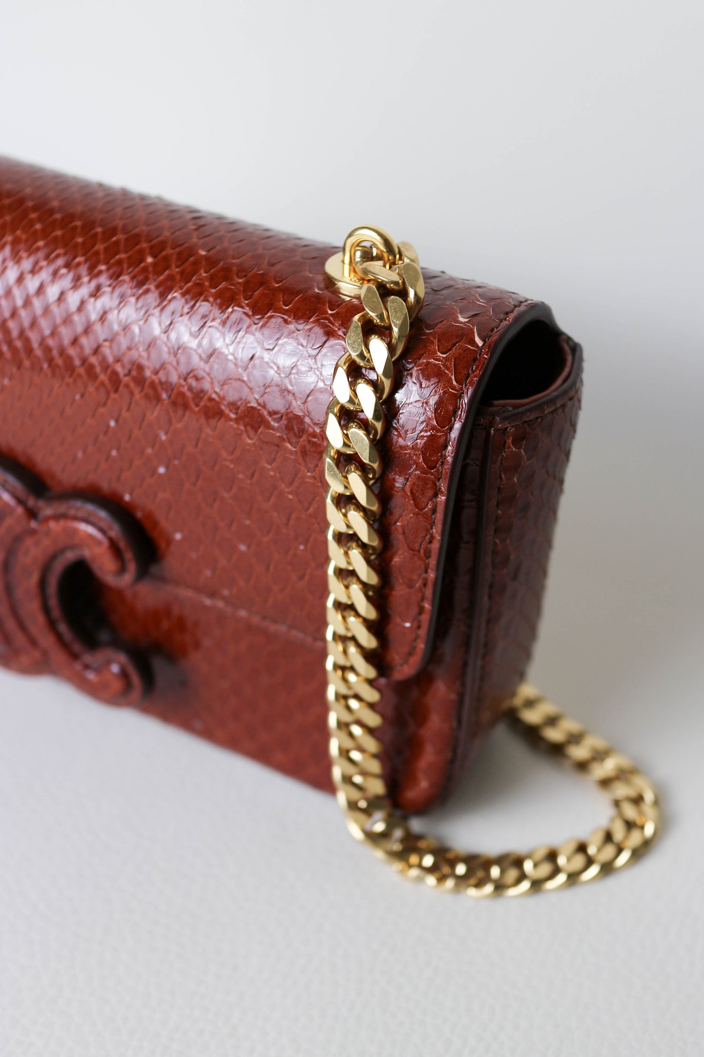 CELINE Triomphe Python Chain Shoulder Bag
