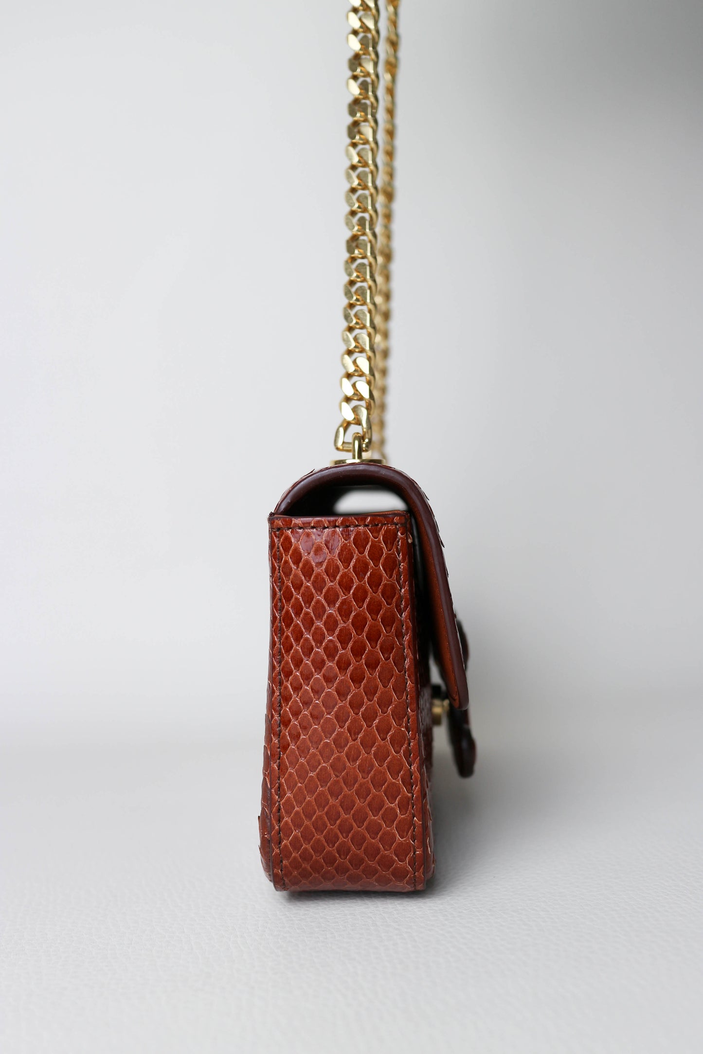 CELINE Triomphe Python Chain Shoulder Bag
