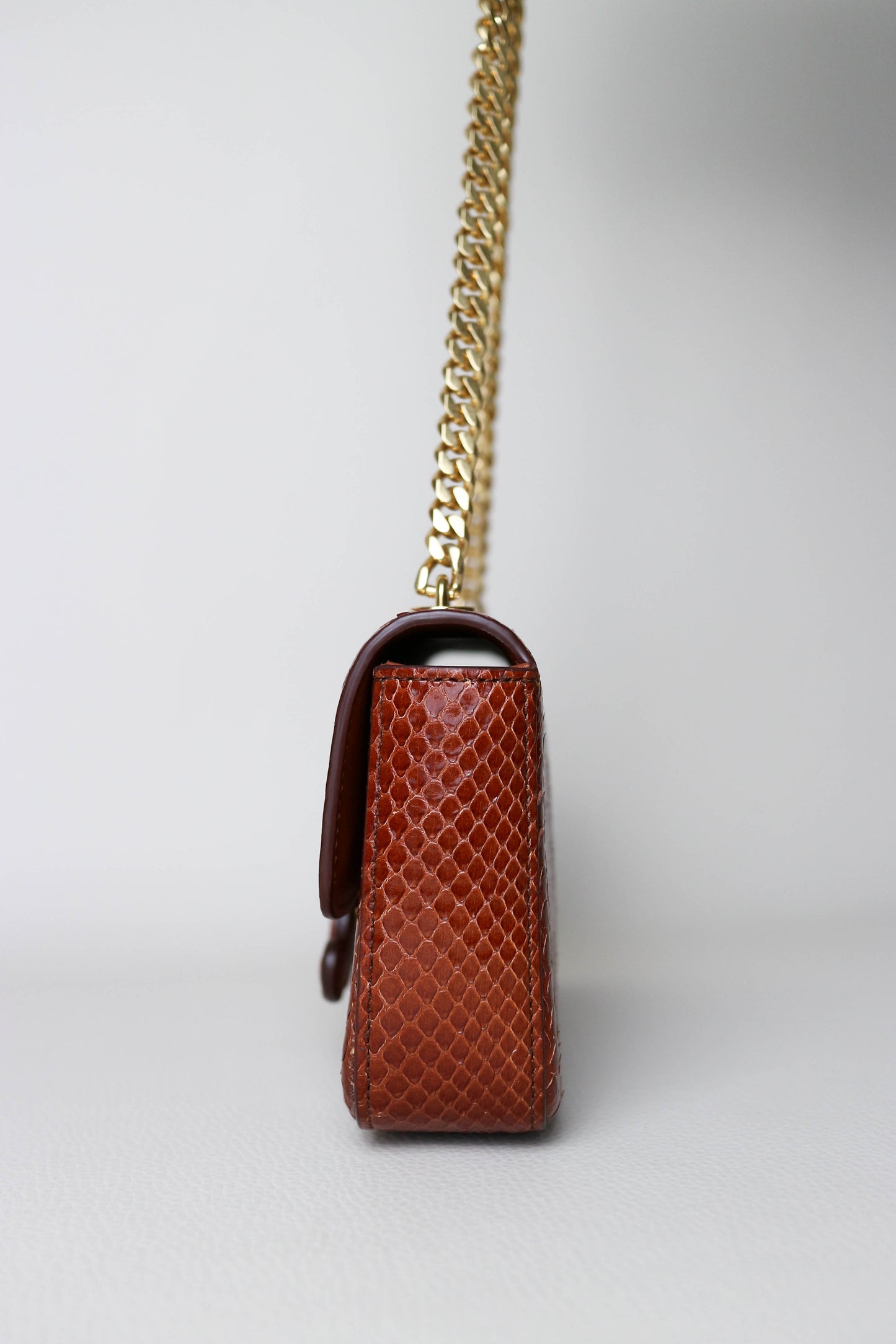 CELINE Triomphe Python Chain Shoulder Bag