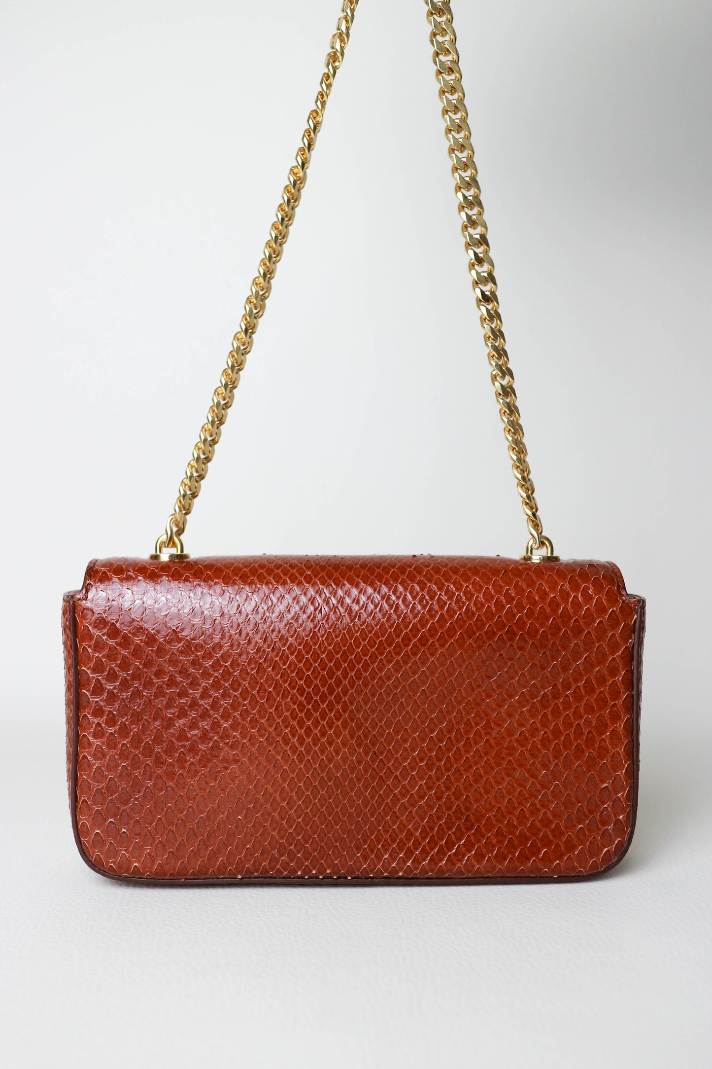 CELINE Triomphe Python Chain Shoulder Bag
