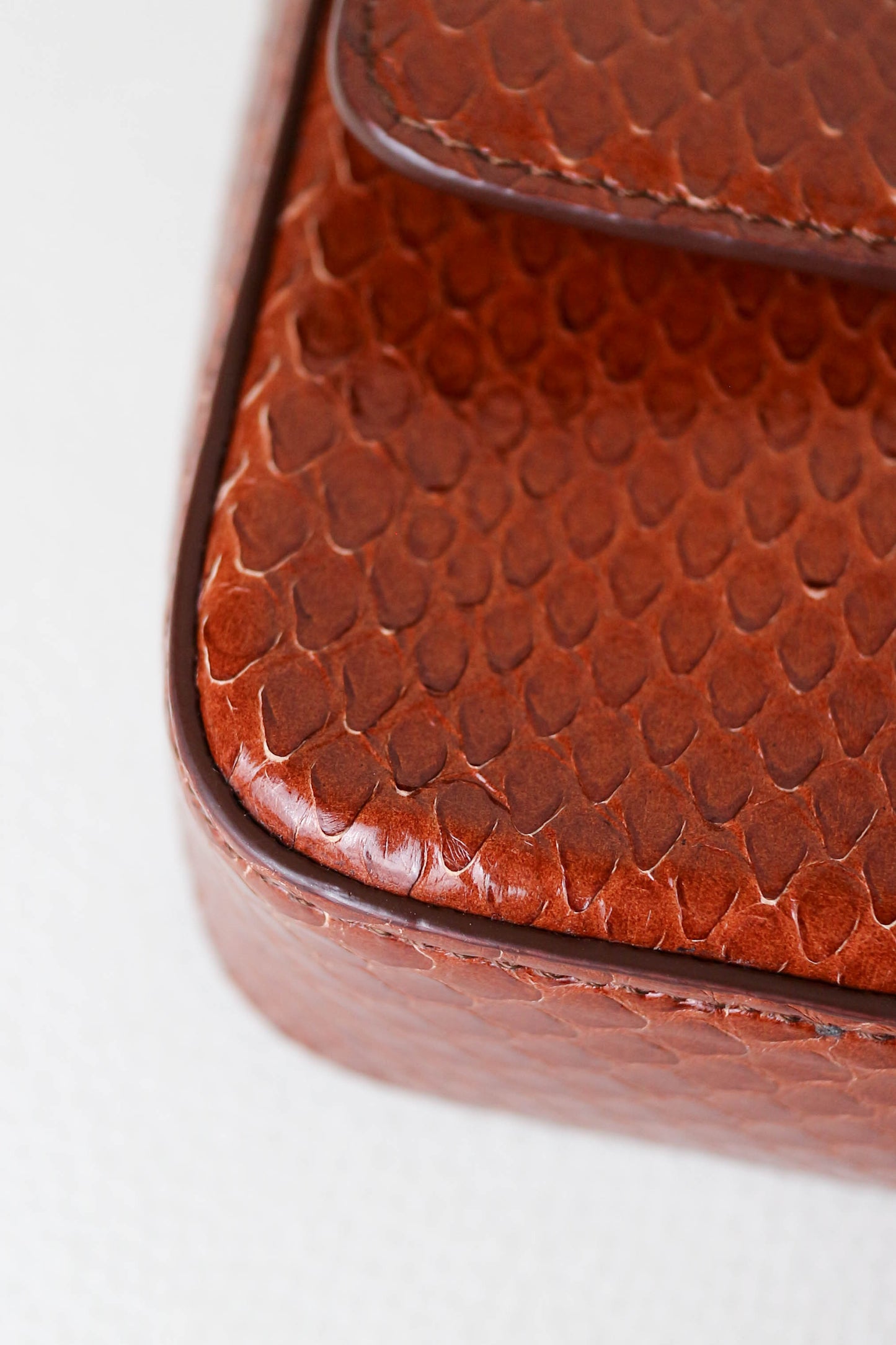 CELINE Triomphe Python Chain Shoulder Bag