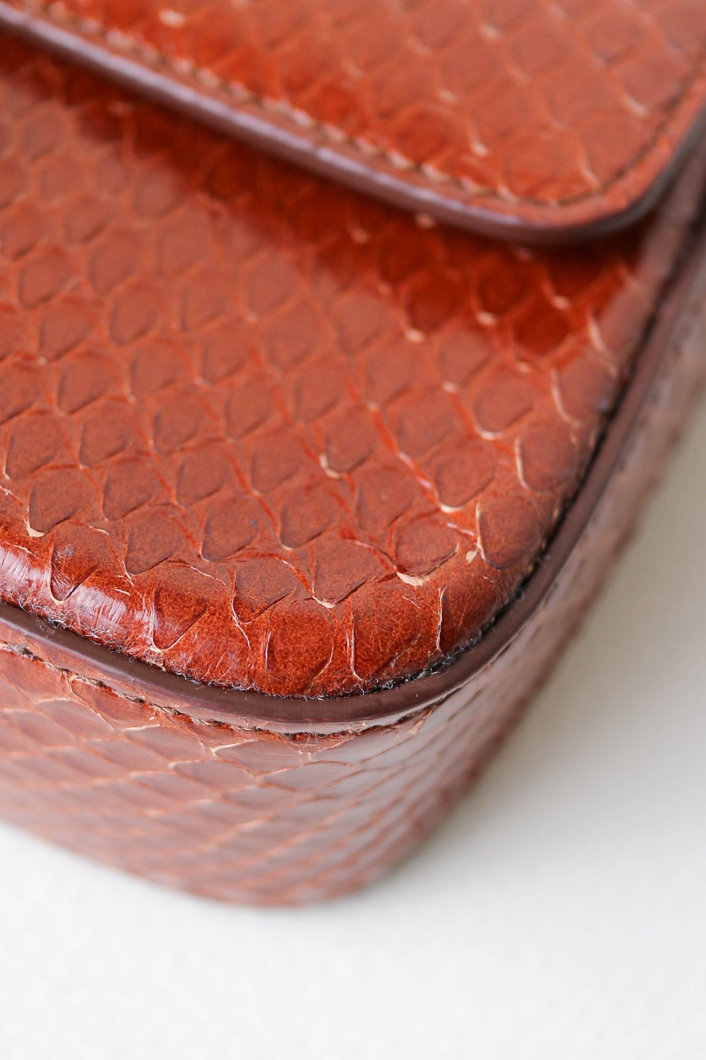 CELINE Triomphe Python Chain Shoulder Bag