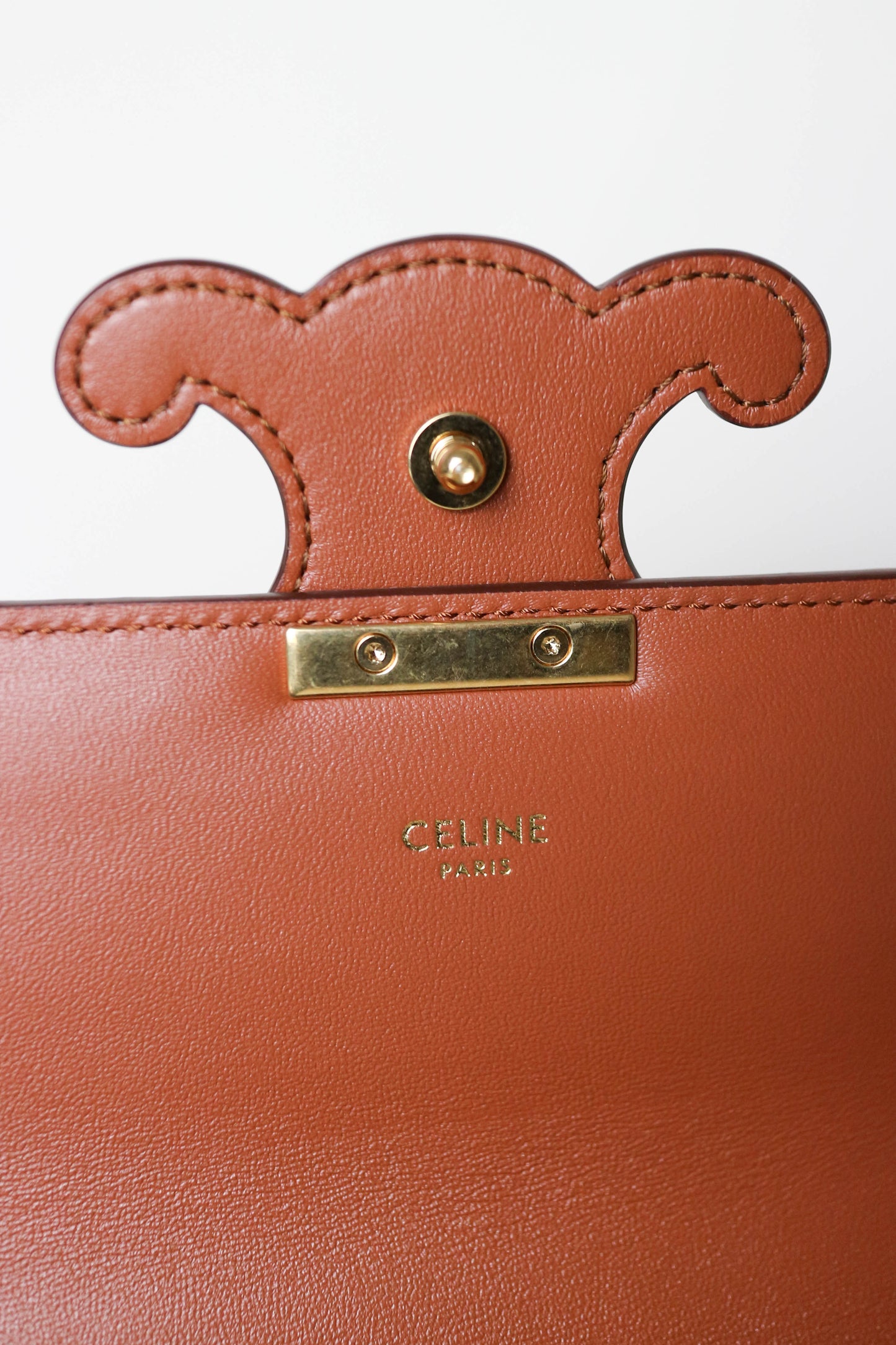 CELINE Triomphe Python Chain Shoulder Bag