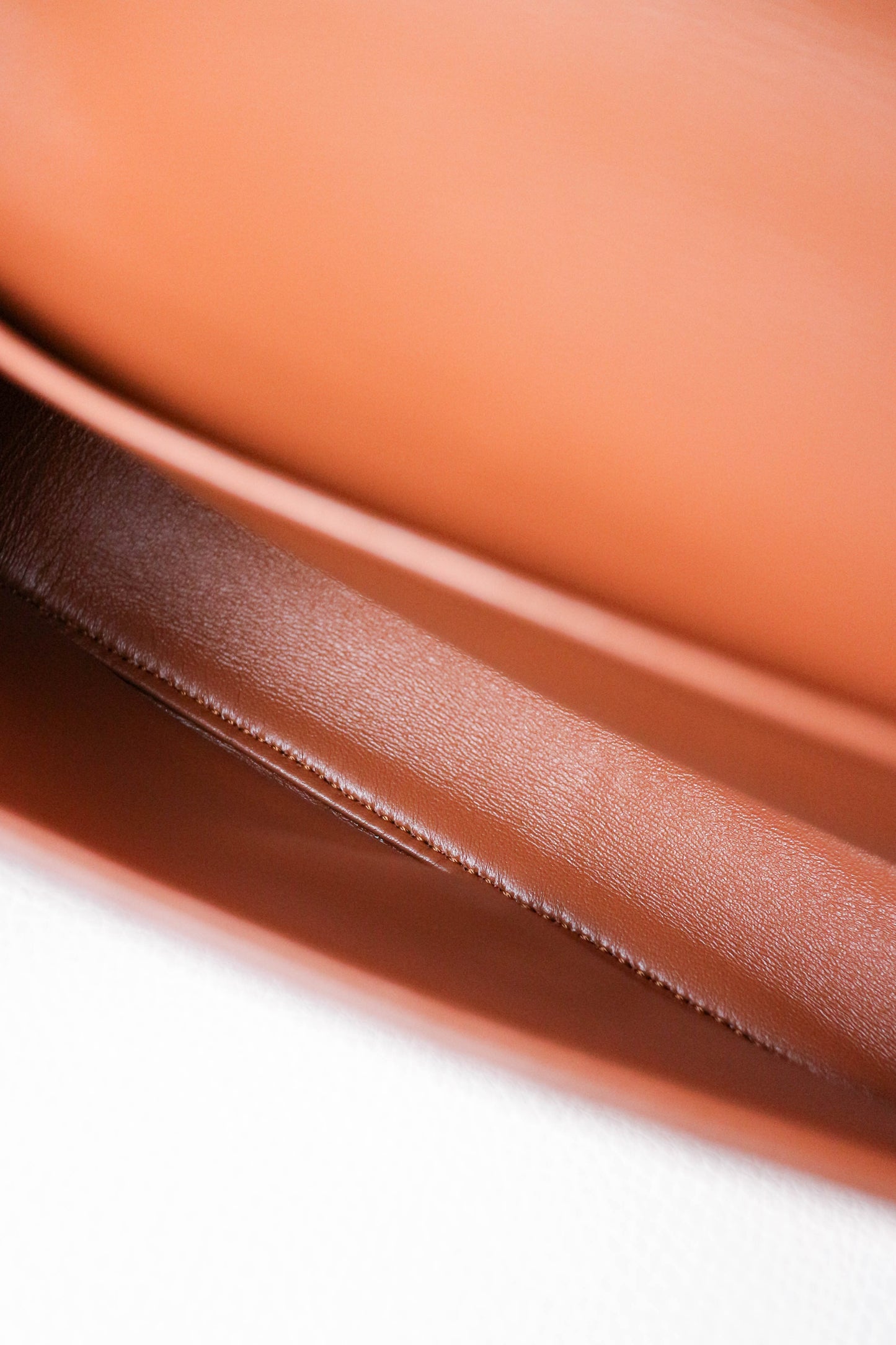 CELINE Triomphe Python Chain Shoulder Bag