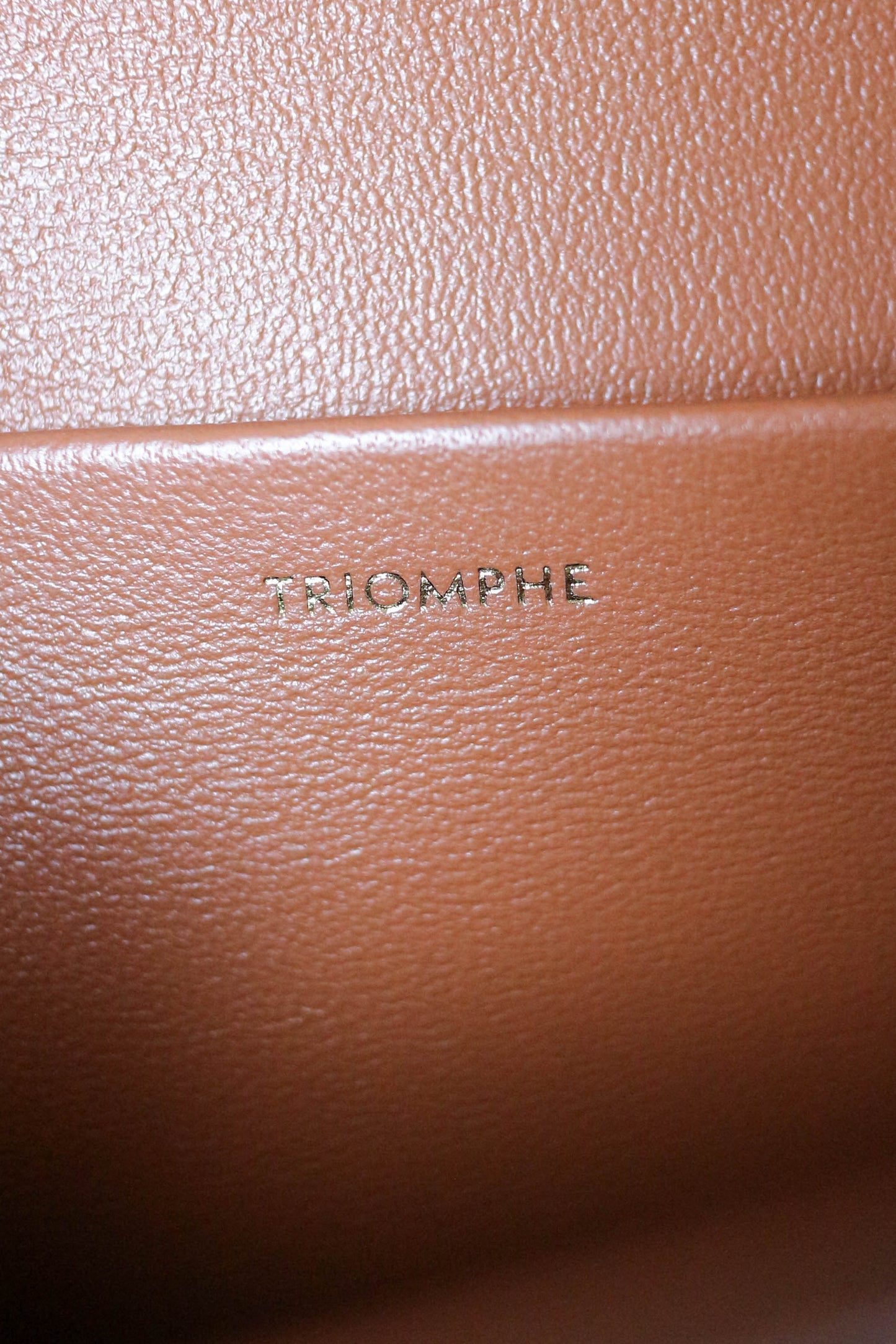 CELINE Triomphe Python Chain Shoulder Bag