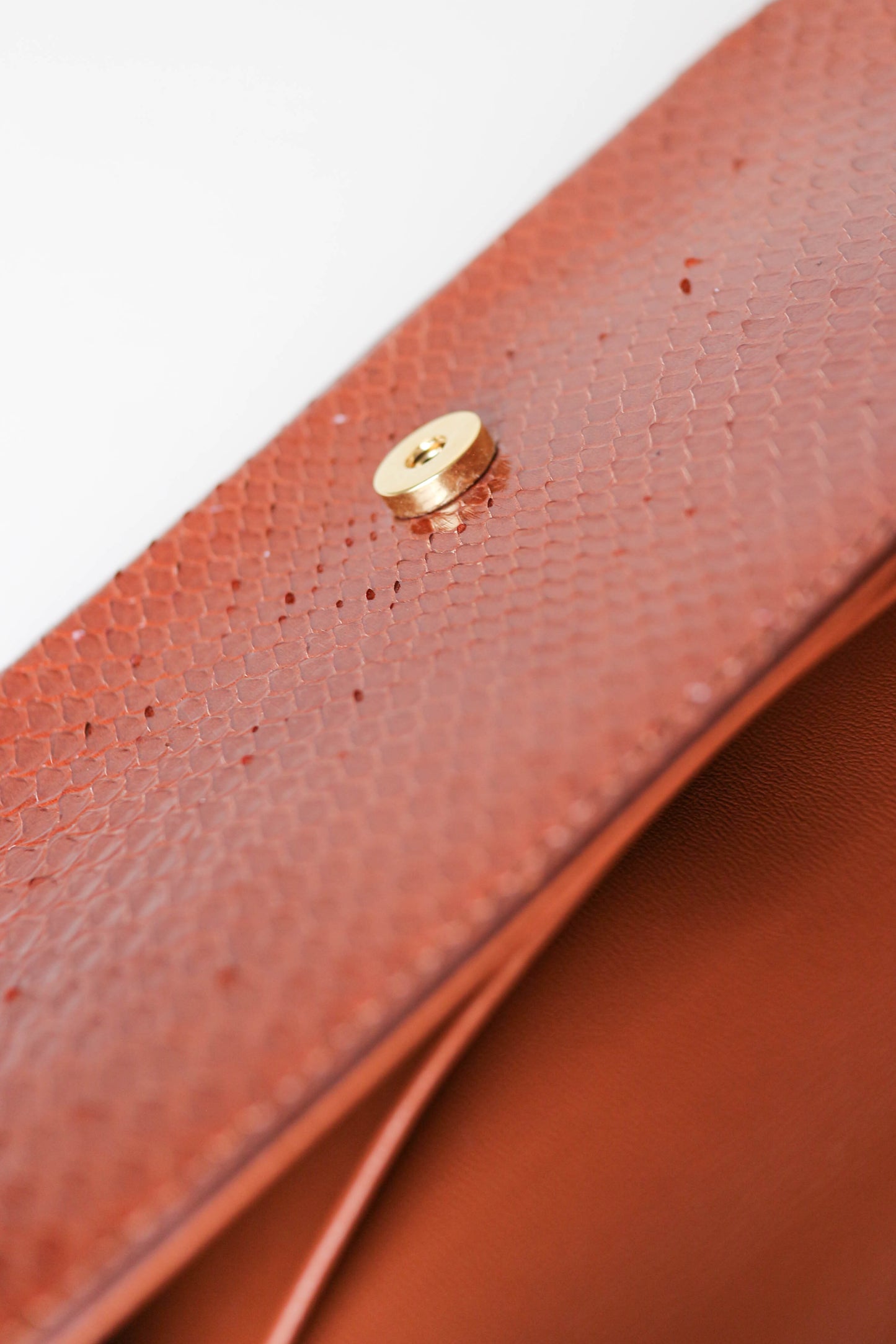 CELINE Triomphe Python Chain Shoulder Bag