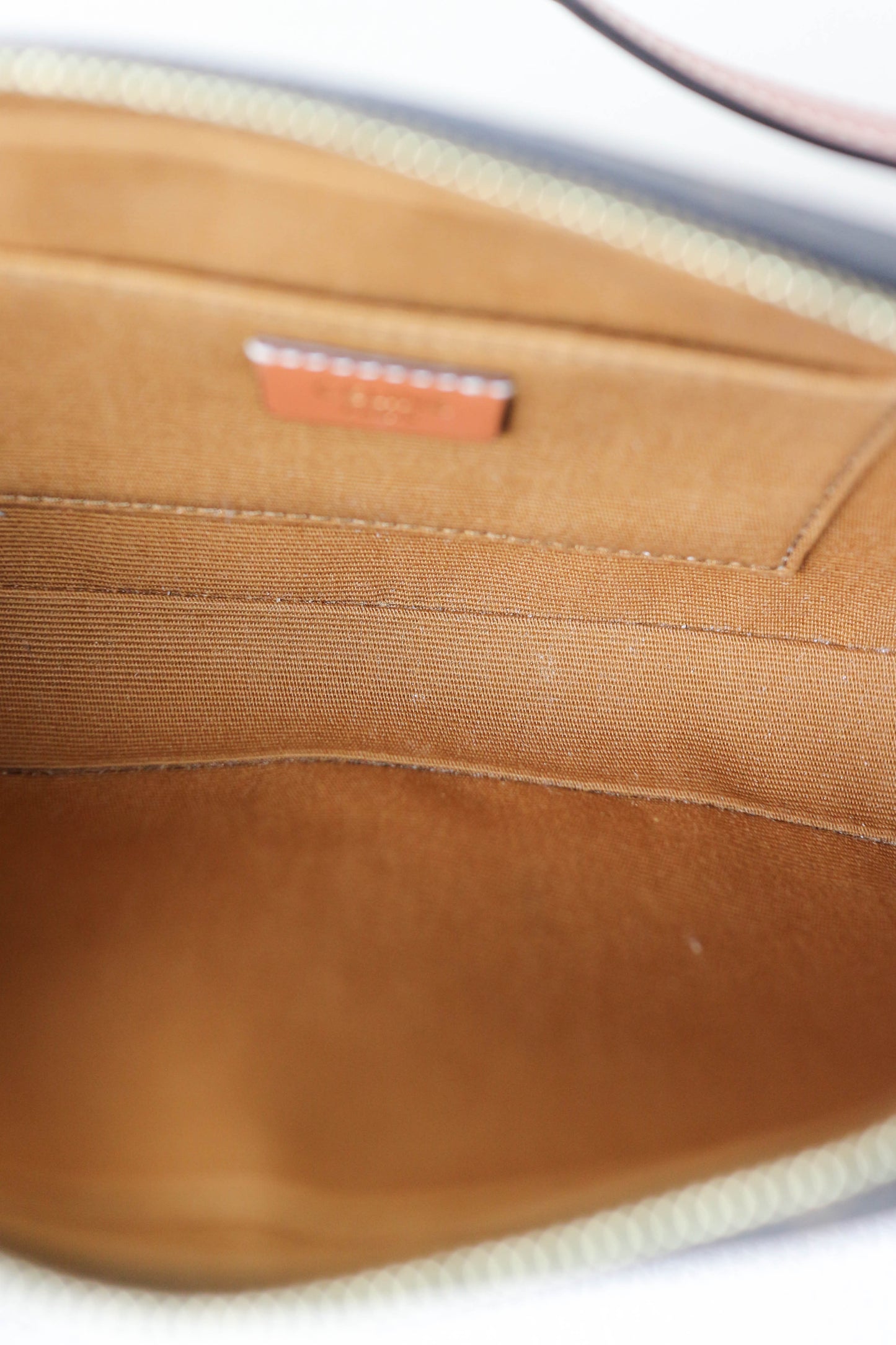 CELINE Mini Triomphe Canvas Shoulder Bag