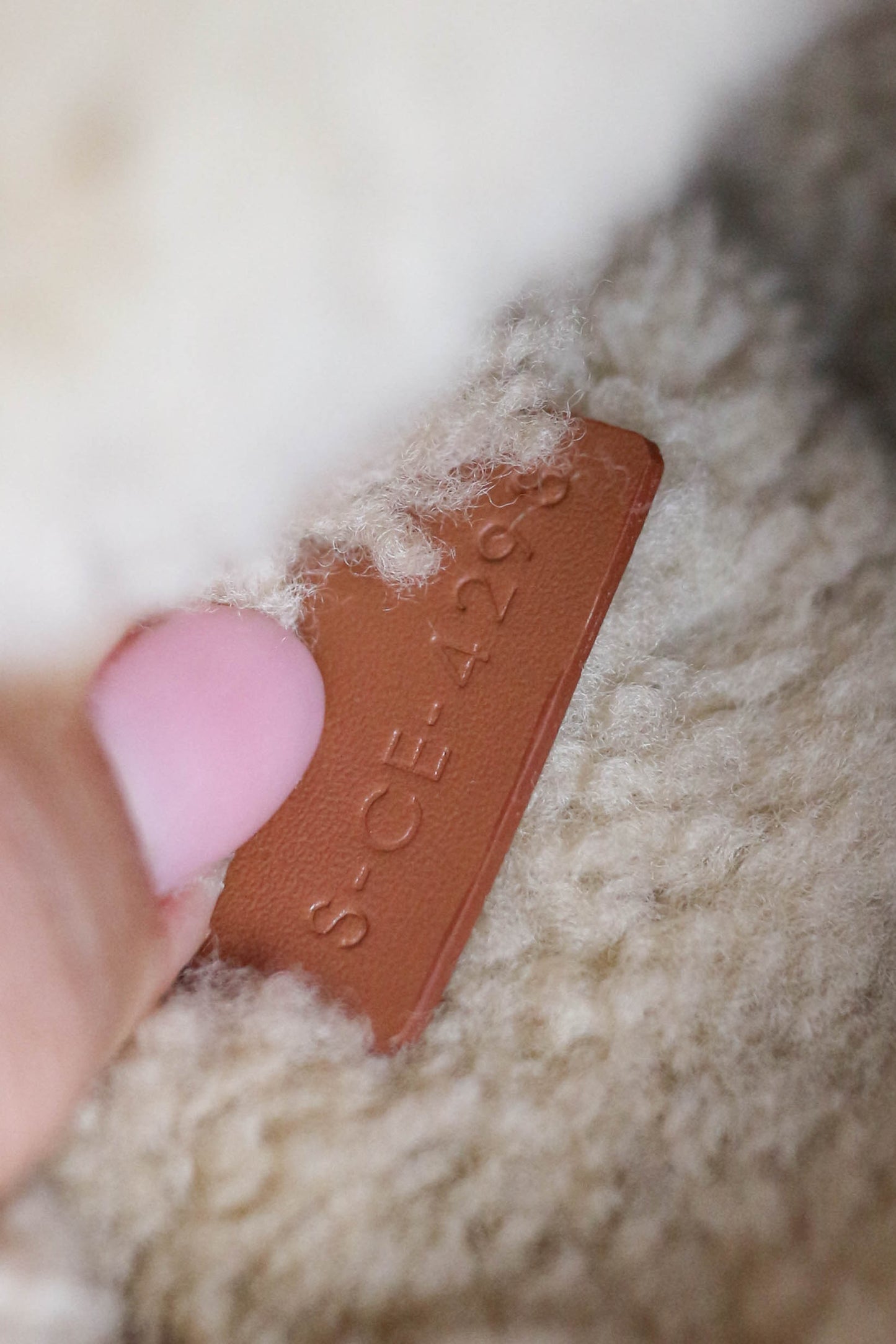 CELINE Triomphe Shearling Bag